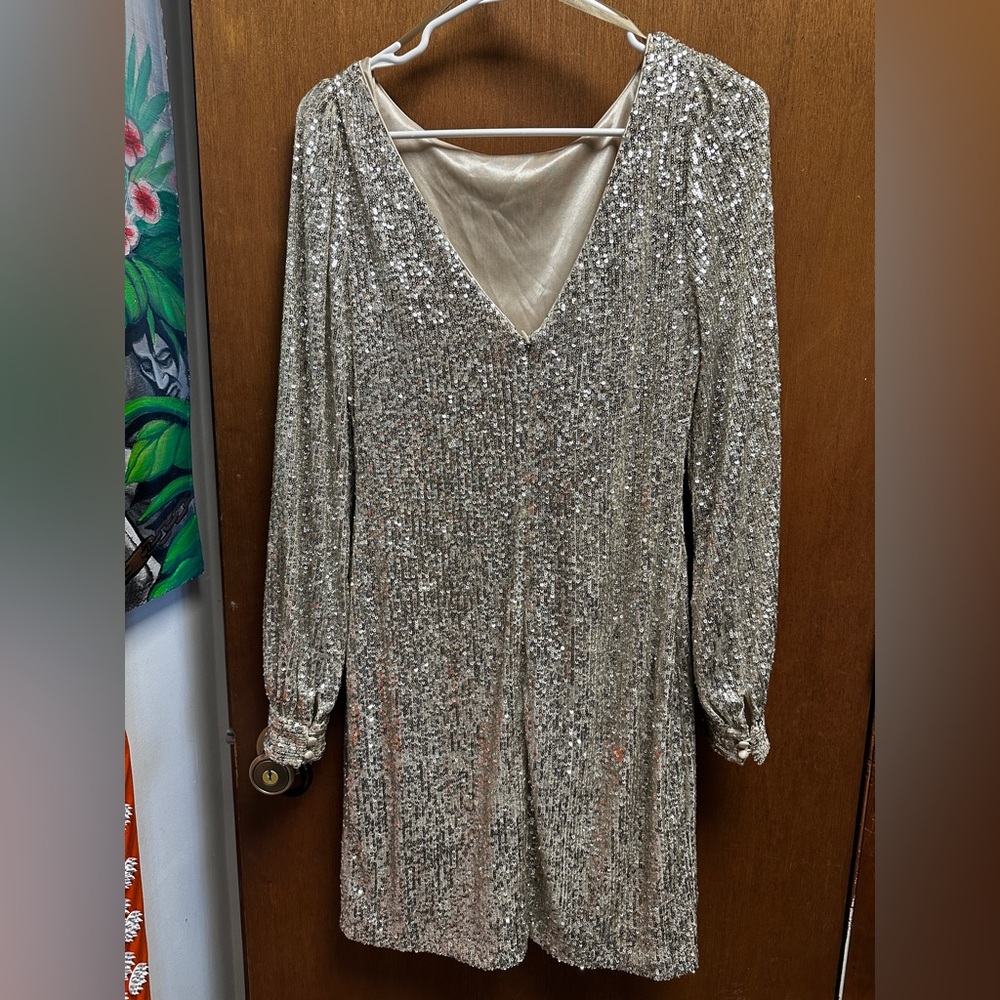 Sequined Dress - Picture 2 of 2